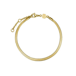 CLUSE Minuit Gold Mesh Watch & Flat Snake Bracelet Gift Set