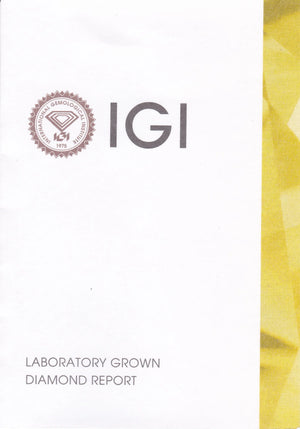 14K Gold 0.5 Carat Lab Grown Diamond Earrings (Total 1 Carat) LGE001_2