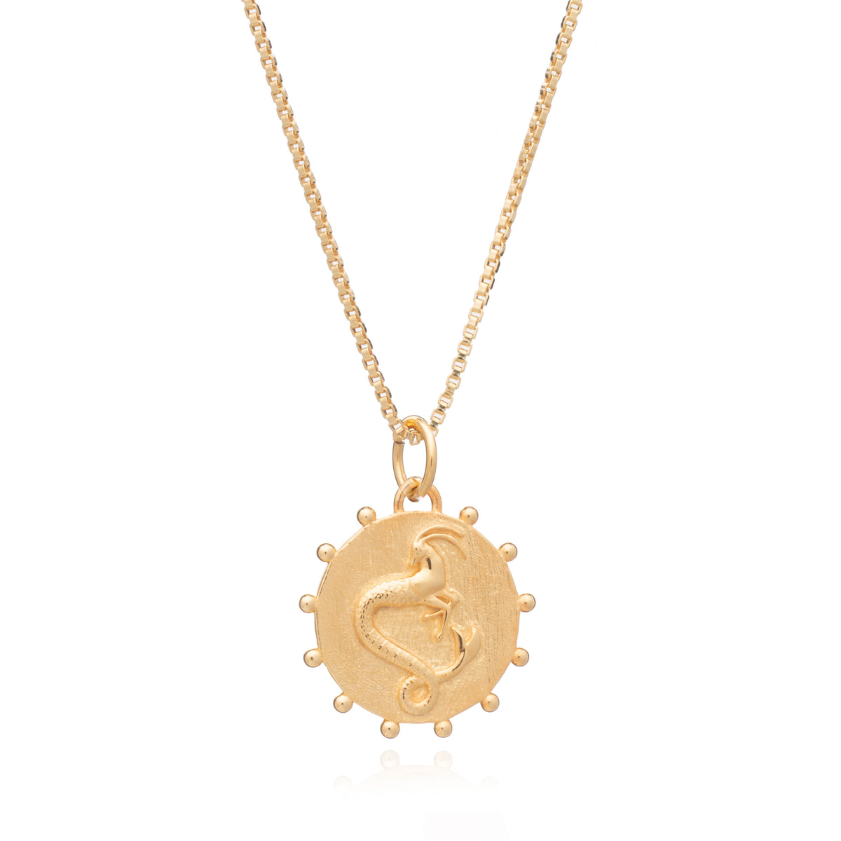Rachel Jackson Zodiac Art Coin Necklace Gold