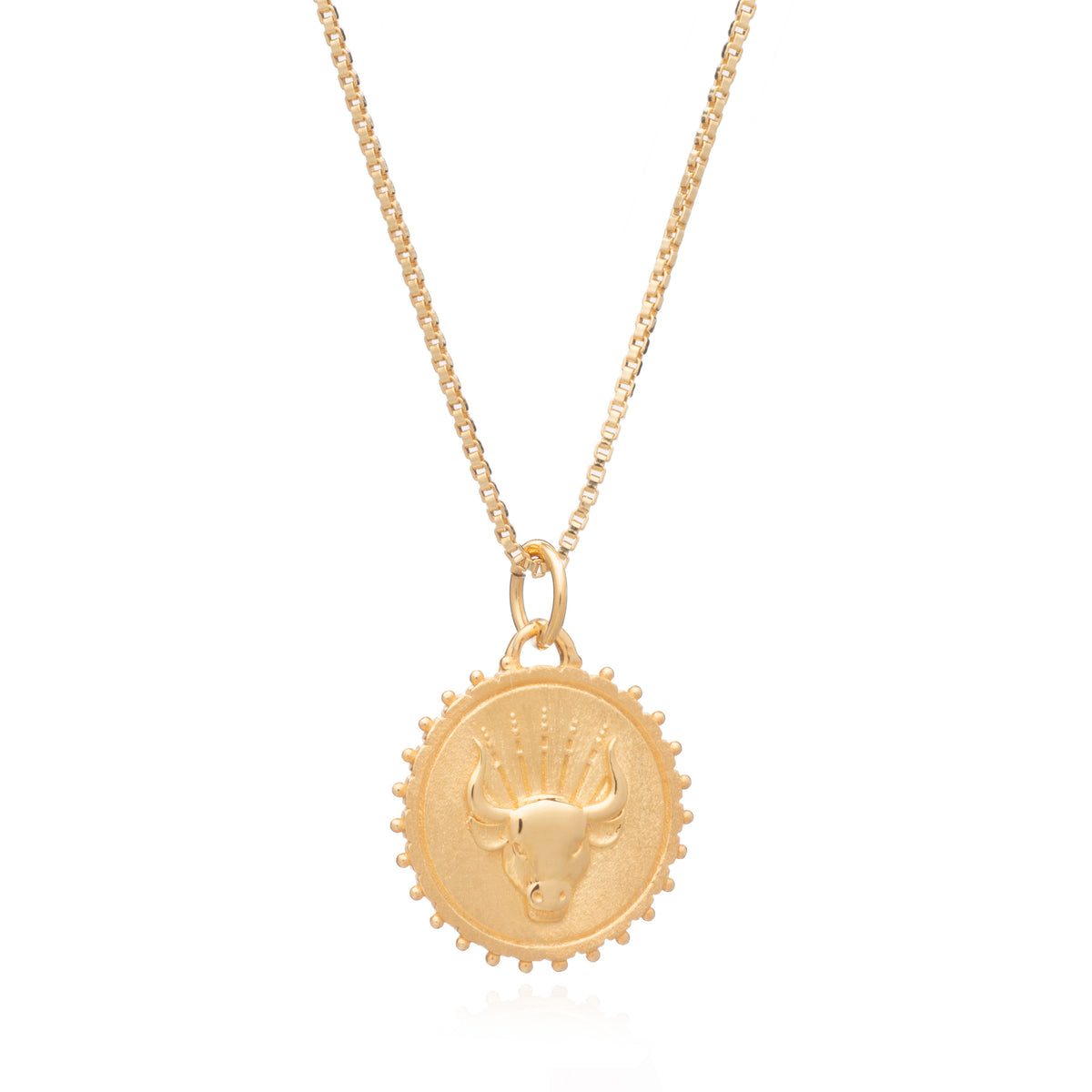 Rachel Jackson Zodiac Art Coin Necklace Gold