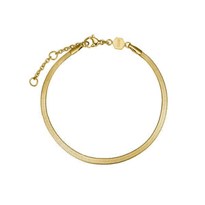 CLUSE Minuit Gold Mesh Watch & Flat Snake Bracelet Gift Set