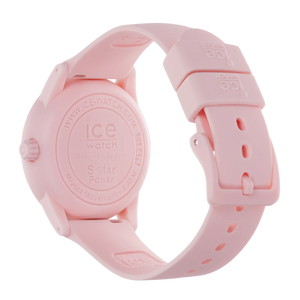 ICE solar power - Pink lady 018479