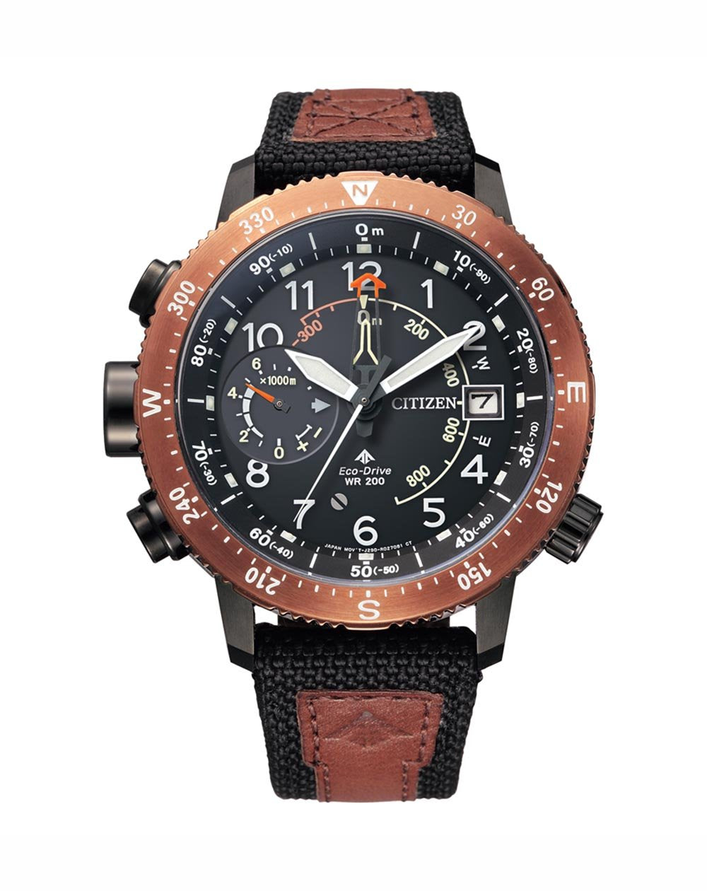 Citizen hot sale bronze watch