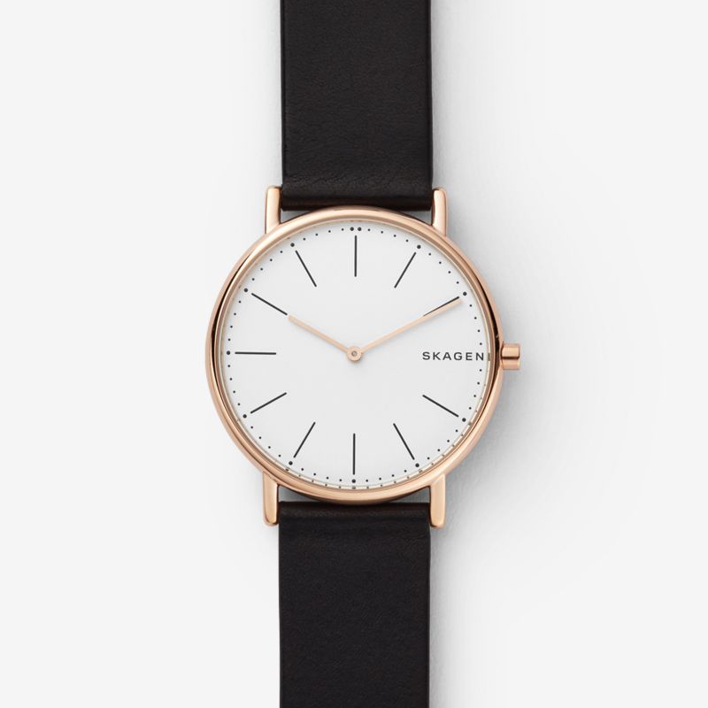 SKAGEN Signatur Slim Titanium Men&#39;s Leather Watch SKW6430