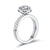Sterling Silver 1 Carat Moissanite Halo Diamond Ring Set XMFR8363
